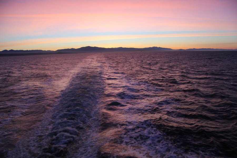 Methods for coping with sexual assault